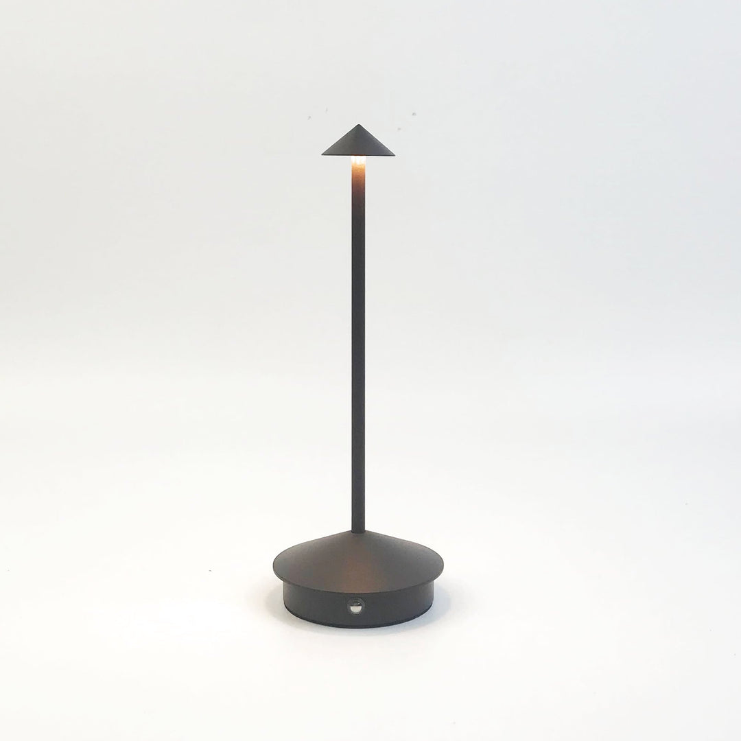 LD PIUS Rechargeable LED Table Lamp